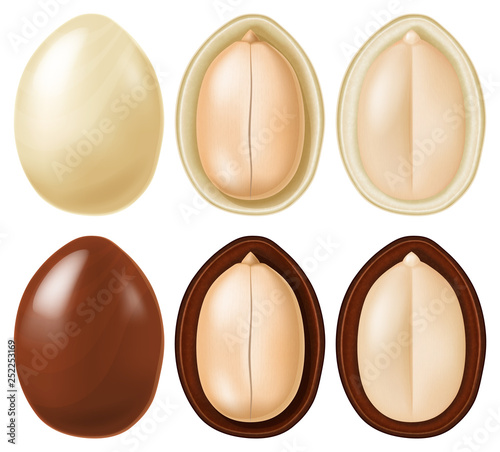 Peanut dragees in dark and white chocolate. Vector illustration.	