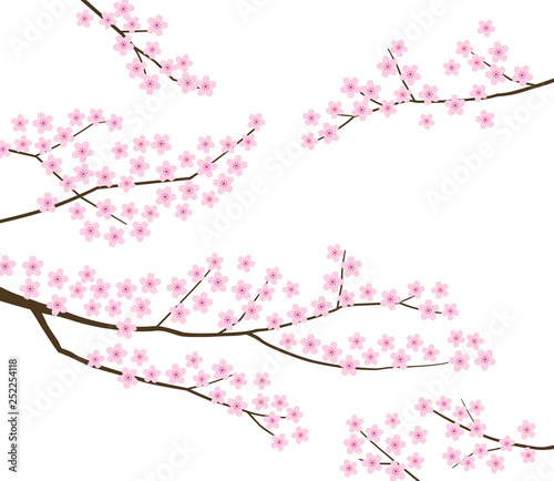桜の木　背景素材