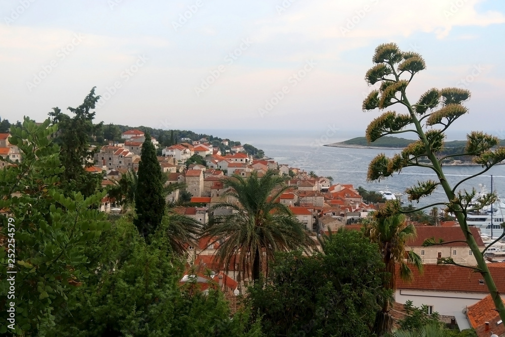 Mediterranean plants and traditional architecture in town Hvar, on island Hvar, Croatia. Hvar is popular summer travel destination.