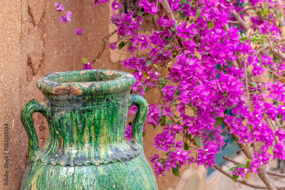 Jarre dans un jardin au Maroc Stock Photo | Adobe Stock