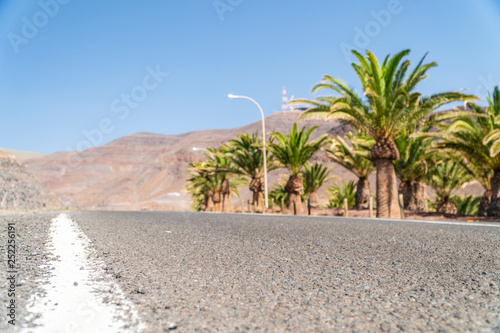 A lot of palm trees next to asphalt road leading to mountainous desert © eunikas