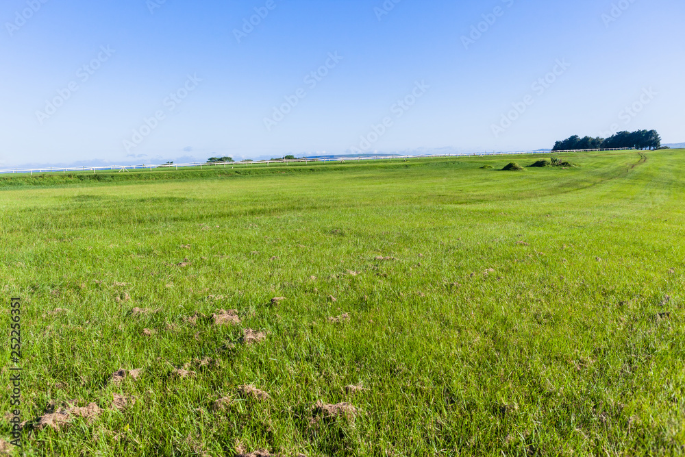 Grass Green Field Hillside Trees Blue Sky Fencing Equestrian Summer No People Landscape