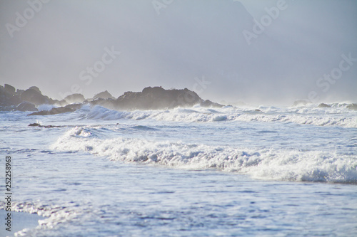 Tenerife coast  - wild beach on the north  -  El Draguillo photo