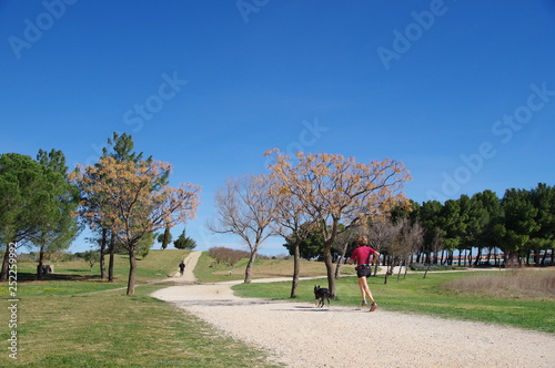 coureuse à pied avec chien à la campagne