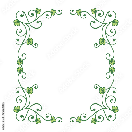 Vector illustration beauty decoration leafy floral frame hand drawn