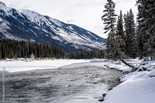 Odd and strange tree growth formation along the banks of the Kootenay River in Kootenay National Park during winter © MelissaMN