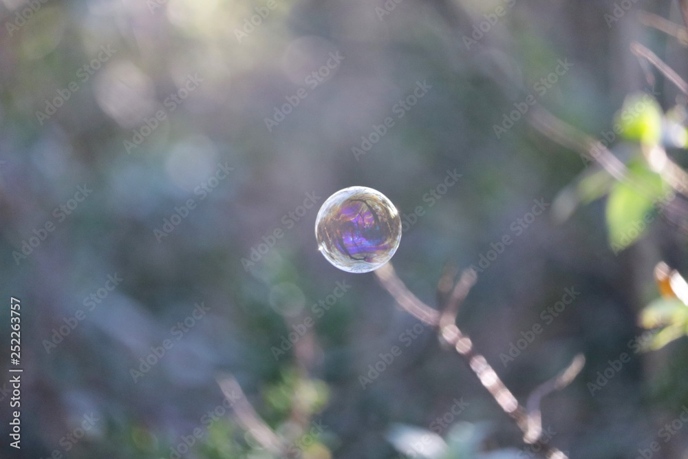 Bulle Bulle