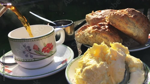 Traditional English cream tea with a spread of fresh baked scones pot of jam and dollops of clotted cream poured outdoors on a rustic country table in bright afternoon sun