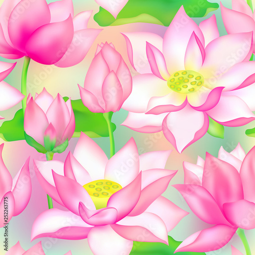 Lotus buds and flowers seamless vector pattern., Water lilly nelumbo aquatic plant packaging design.