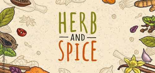 HERB and SPICE handwriting lettering. Set vector color engraving