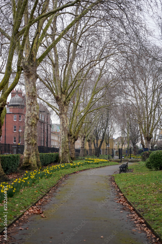 alley in park