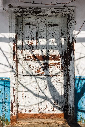 tree shadow on old weathered wooden door © LIGHTFIELD STUDIOS