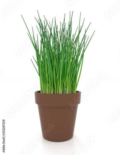 3d illustration of green onions in a pot on a white background.