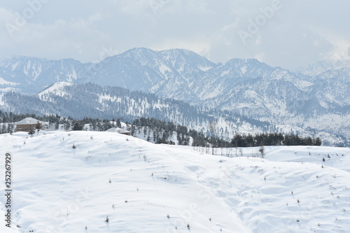 winter mountains with high altitude and beautiful trees underneath  © Shahzad