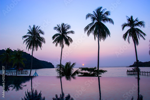 Sunset reflecting on the water surface foreground with coconut trees area ao bang bao at Koh kood island is a district of Trat Province. Thailand. © Pina