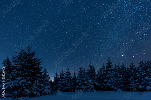 Fototapeta Naklejka Na Ścianę i Meble -  Dark sky full of shiny stars in Carpathian mountains in winter forest at night