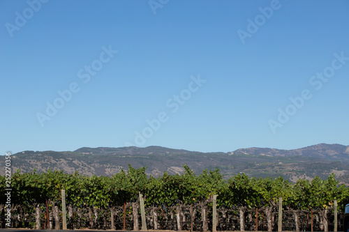 napa valley mountain with vineyard