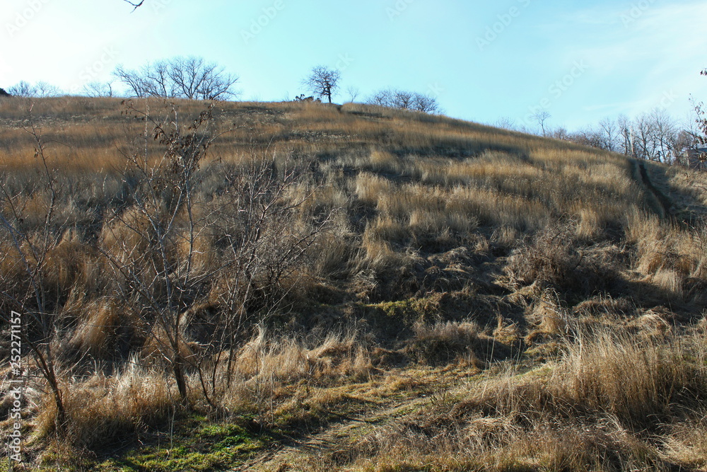 landscape in the mountains