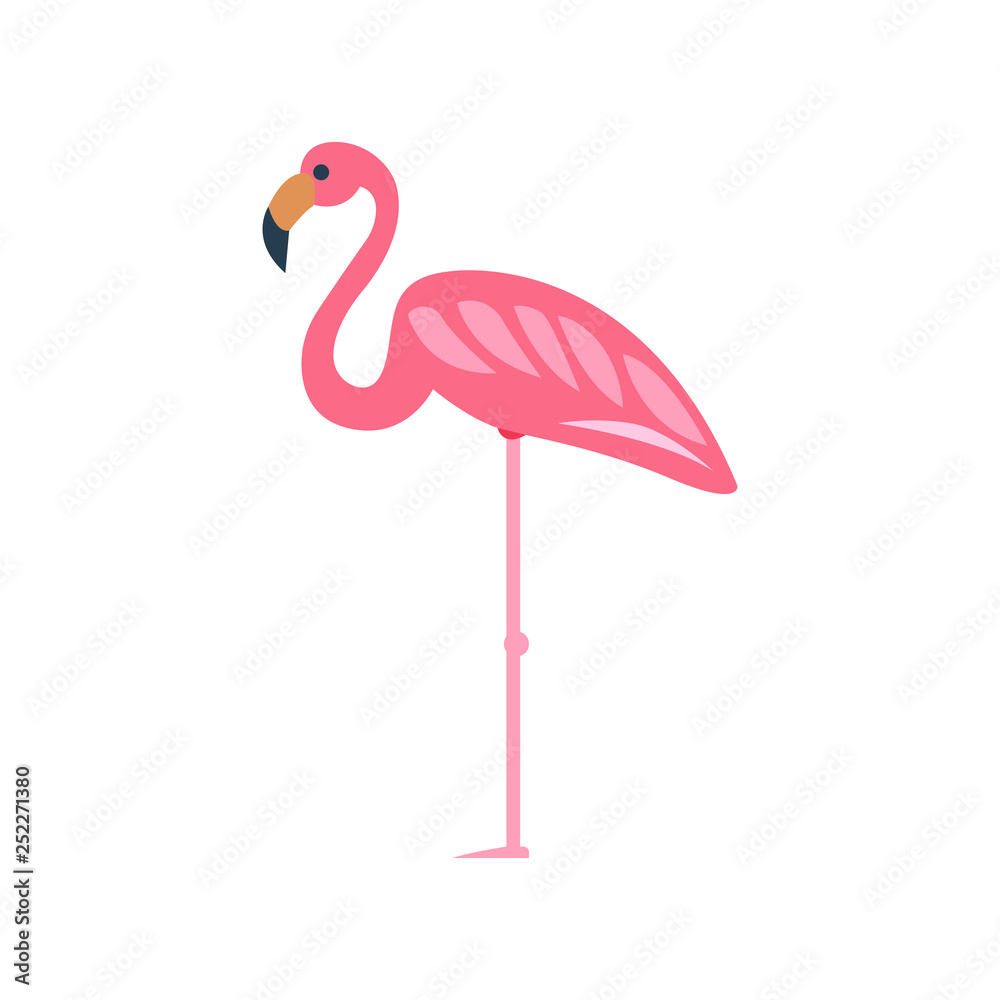 Obraz premium Flamingo illustration vector