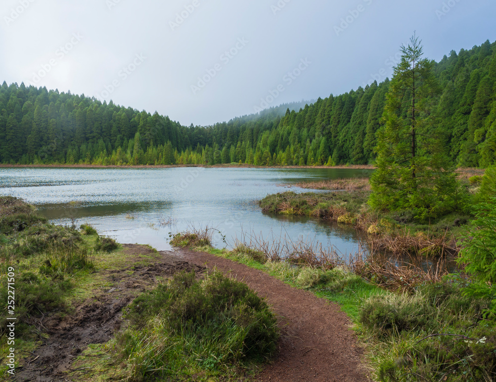 Banks of shallow volcanic lake Lagoa Rasa surrounded by lush green forest, foggy day, the island of Sao Miguel, Azores, Portugal Banks of shallow volcanic lake Lagoa Rasa surrounded by lush green forest, foggy day, the island of Sao Miguel, Azores, Portugal