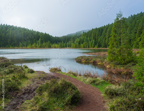 Banks of shallow volcanic lake Lagoa Rasa surrounded by lush green forest, foggy day, the island of Sao Miguel, Azores, Portugal