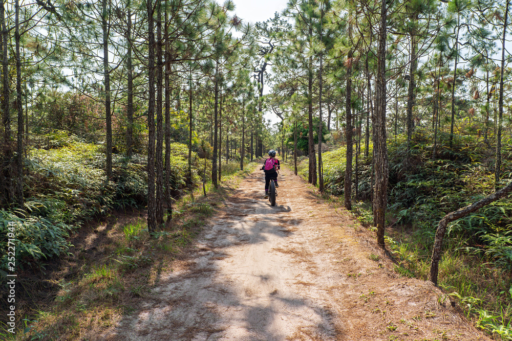 Female cyclist cycling on dirt road through pine forest