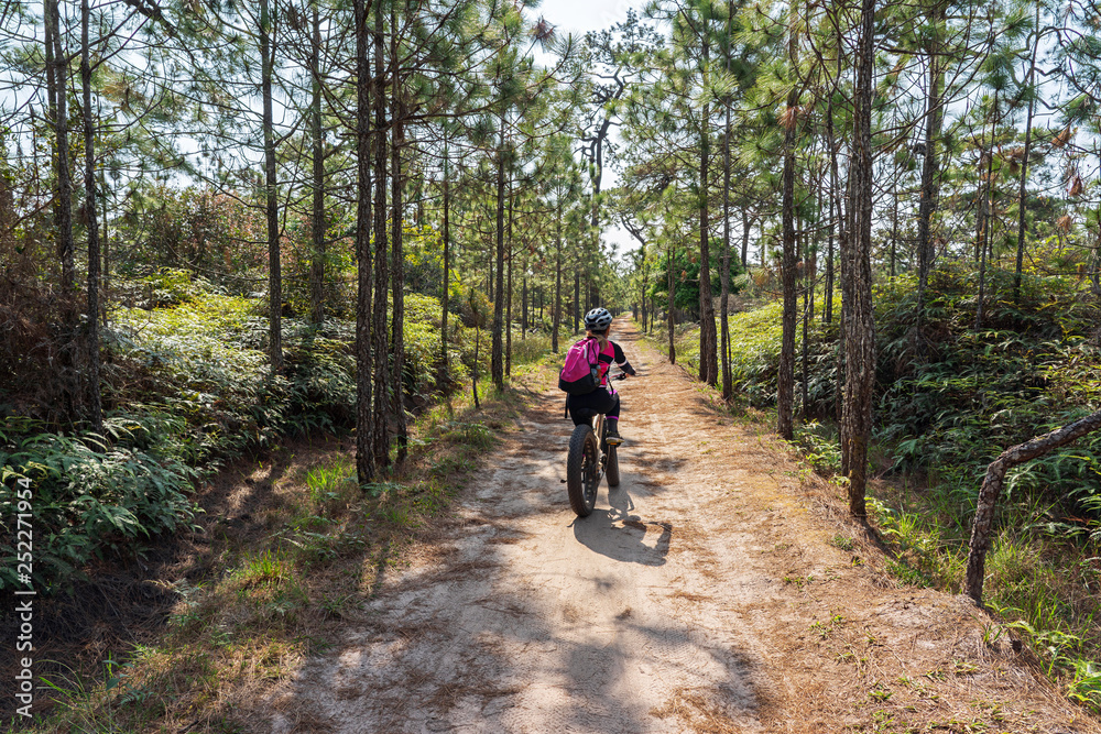 Asian female cyclist cycling through pine forest on mountain