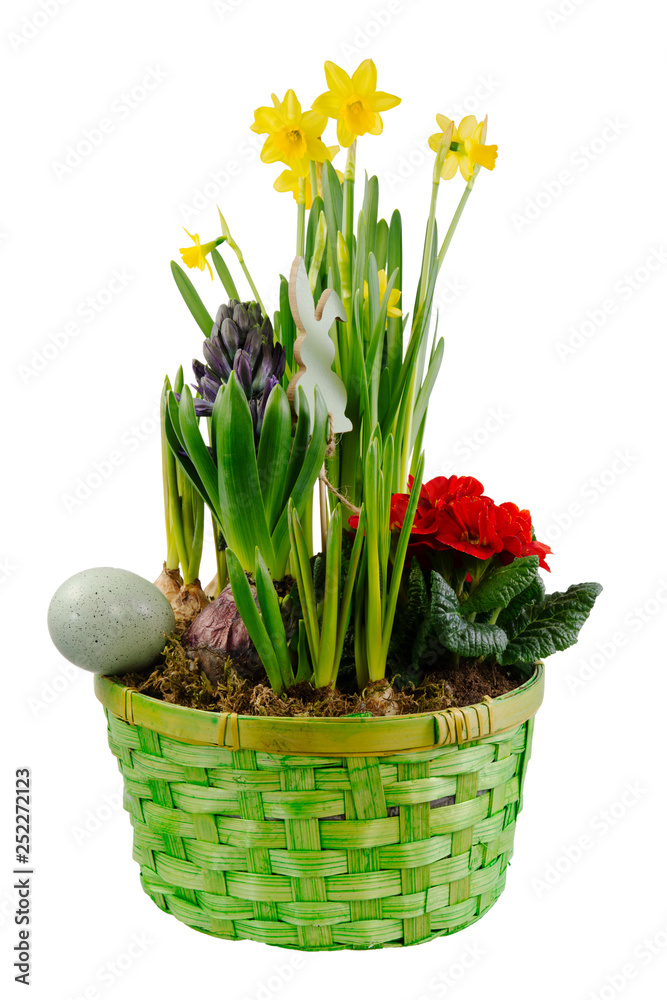 Isolated easter decoration with spring flowers