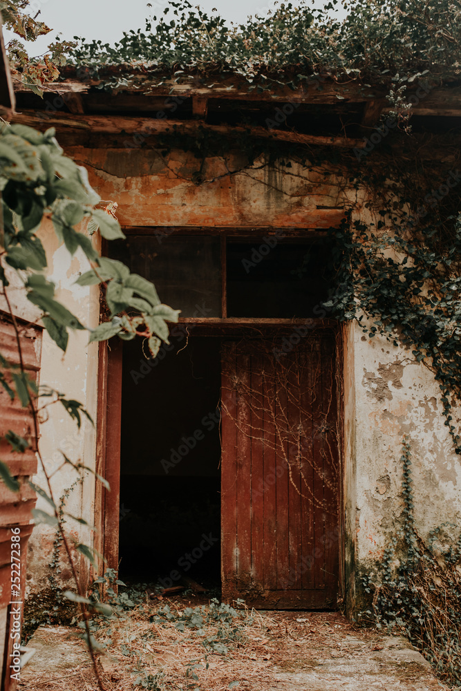 Fototapeta premium abandoned old house