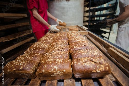 The baker folds rye bread