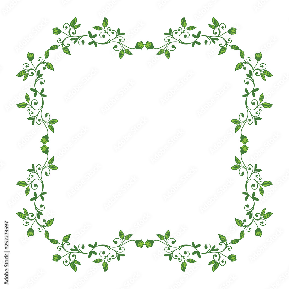 Vector illustration green leafy flower frame decor hand drawn