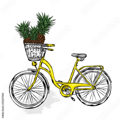Vintage bicycle with basket with pineapples. Exotic fruits. Vector illustration for greeting card or poster. Print Vintage and retro, hand drawing. 
