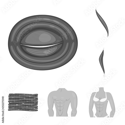 Vector design of human and body icon. Set of human and cells stock symbol for web.