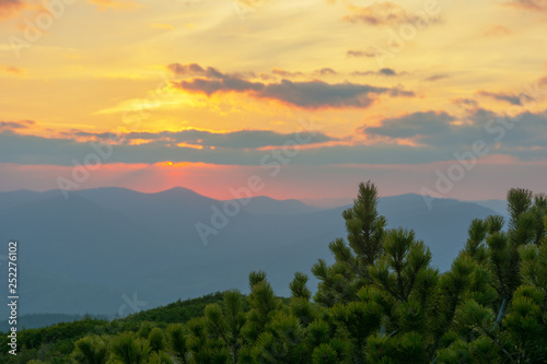 Dramatic sunset in the spring Ukrainian carpathians with red skies, rays and dark clouds, against the background of mountain ridges covered with alpine pine.