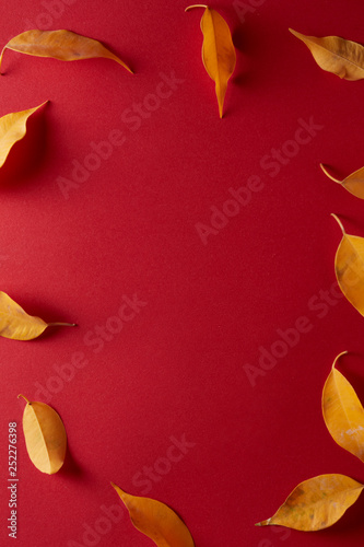 yellow autumn leaf isolated on red background, top view copyspace photo