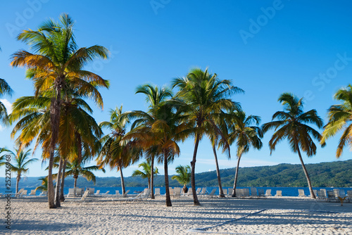 Fototapeta Naklejka Na Ścianę i Meble -  Ocean and tropical coastline in Dominican Republic
