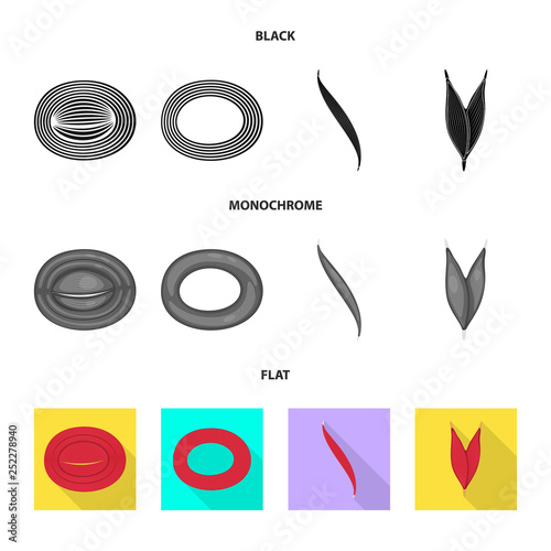 Vector illustration of fiber and muscular sign. Set of fiber and body  stock vector illustration.