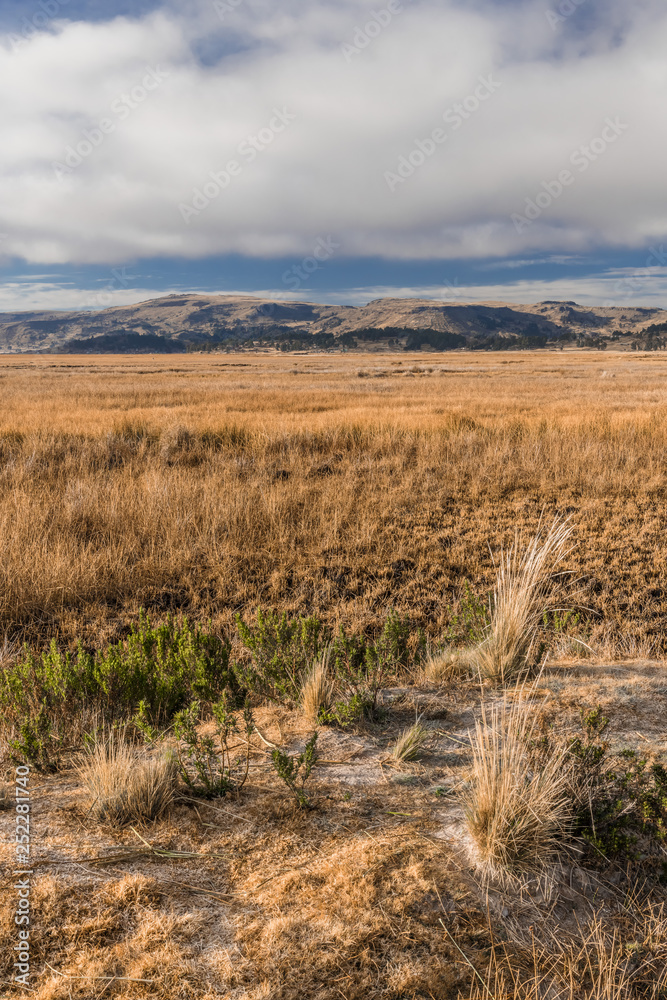 Naklejka premium Morning frost on lake Titicaca