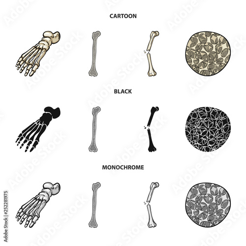 Isolated object of medicine and clinic logo. Collection of medicine and medical vector icon for stock.