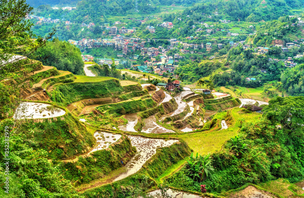 Obraz premium Banaue Rice Terraces - northern Luzon, UNESCO world heritage in Philippines.