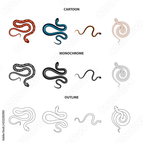 Vector design of mammal and danger symbol. Collection of mammal and medicine vector icon for stock.