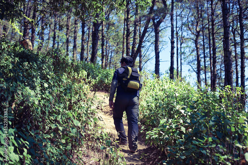 Man hiking in the through the forest