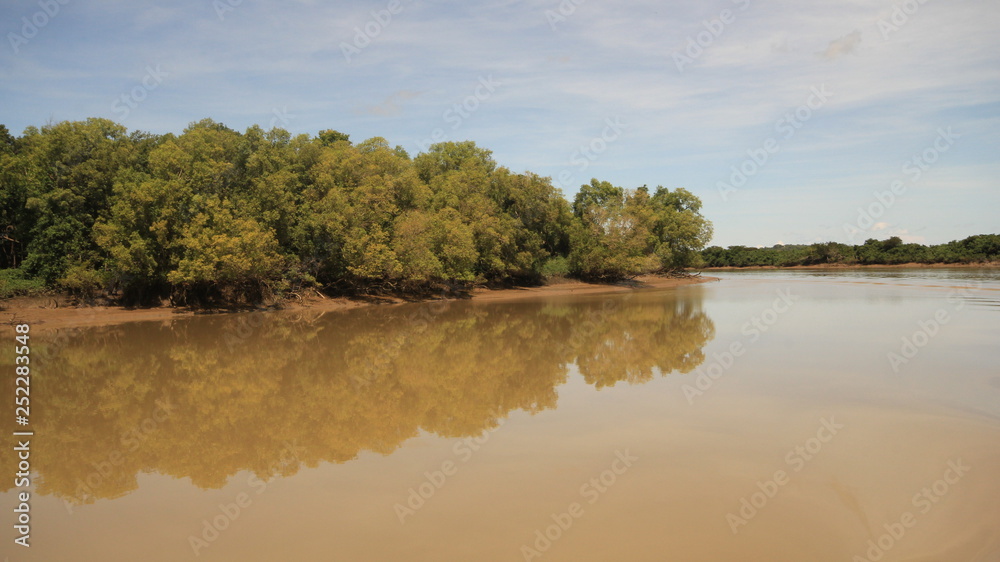 Muddy river in Darwin, Australia