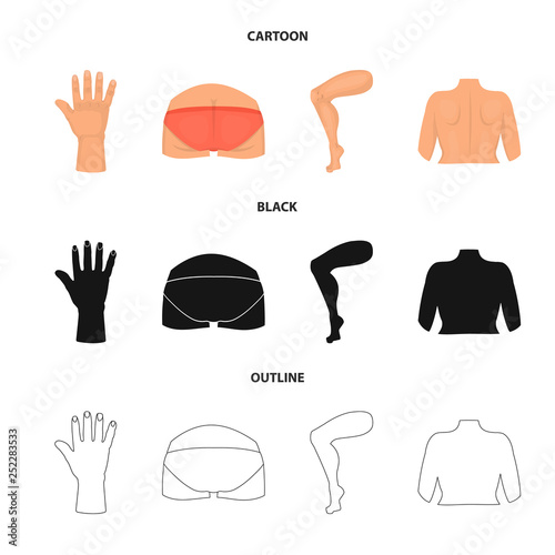 Vector illustration of body and part sign. Collection of body and anatomy vector icon for stock.