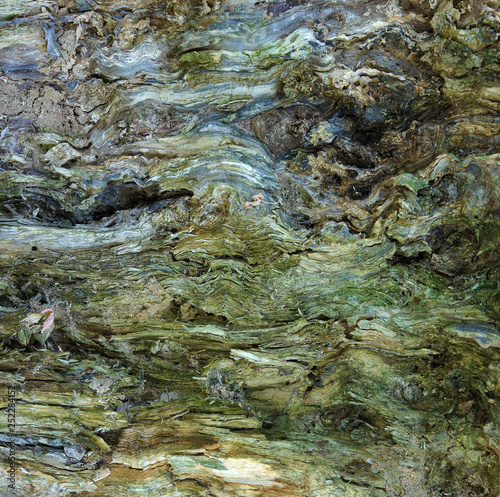 Impressionism as a result of nature activity