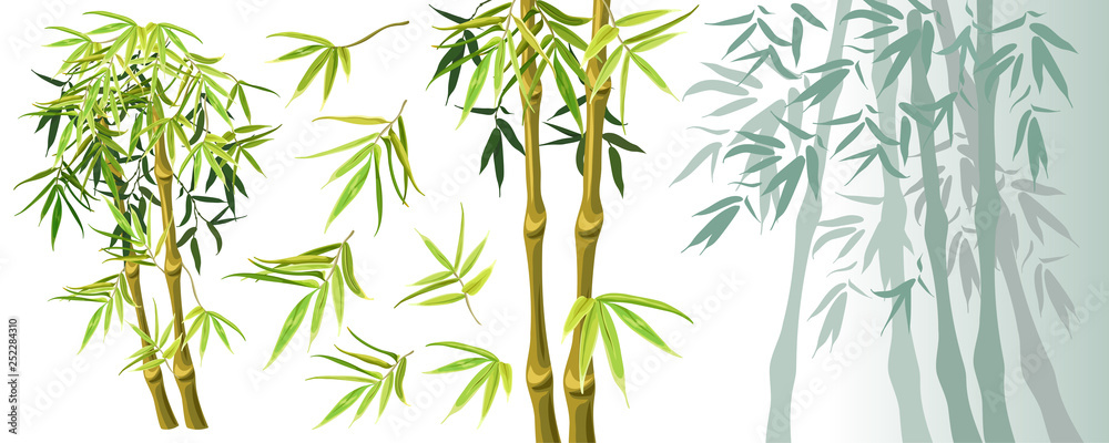 Fototapeta premium Set green bamboo stems and leaves isolated on white background. Vector illustration. Elements for computer games.