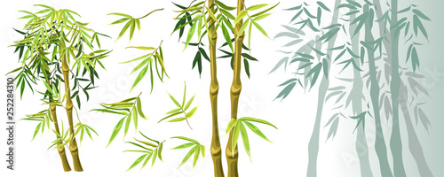 Fototapeta Naklejka Na Ścianę i Meble -  Set green bamboo stems and leaves isolated on white background. Vector illustration. Elements for computer games.