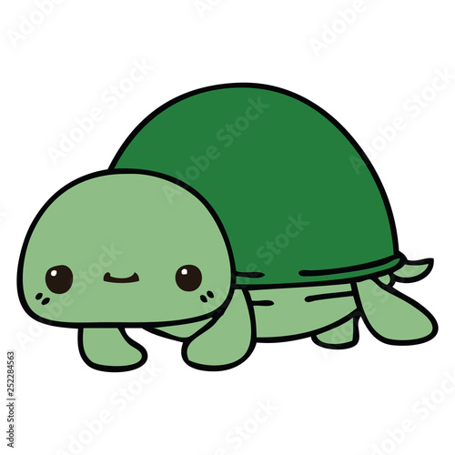 quirky hand drawn cartoon turtle