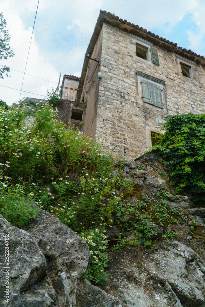 Old stone house in the European city hidden in the green foliage. Old stone house in the European city hidden in the green foliage.