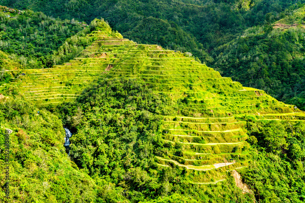 Poster Banaue Rice Terraces - northern Luzon, UNESCO world heritage in ...